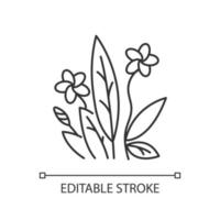 Plumeria linear light icon. Exotic flower. Flora of Indonesian forest. Tropical plants. Blossom of frangipani. Thin line illustration. Contour symbol. Vector isolated outline drawing. Editable stroke