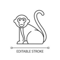 Monkey linear icon. Tropical country animal. Trip to Indonesia zoo. Exploring exotic wildlife. Primate sitting. Thin line illustration. Contour symbol. Vector isolated outline drawing. Editable stroke