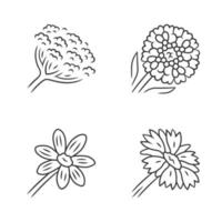 Wild flowers linear icons set. Cow parsnip, candytuft, coreopsis, blanket flower. Blooming wildflowers, weed. Calflora. Spring blossom. Thin line contour symbols. Isolated vector outline illustrations