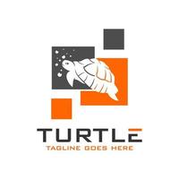 turtle logo design template vector