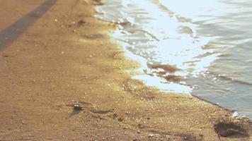 Carefree unrecognizable girl runs into shallow ocean water waves at exotic sunset video