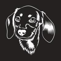 Vector illustration of a Dachshund dog. Black white illustration of a dachshund dog