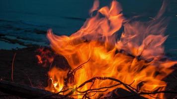 cinemagraph d'un feu de camp au crépuscule sur la plage video