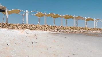 Cinemagraph de cristales de sal blanca natural a orillas del Mar Muerto en Israel