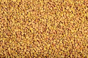 Fenugreek seeds as background. Close up texture photo