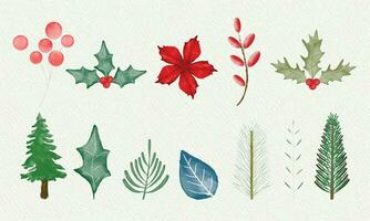 Watercolor set of winter flowers and leaves Christmas elements vector template
