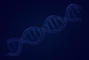 Blue DNA structure isolated background. Low poly DNA digital technology vector.