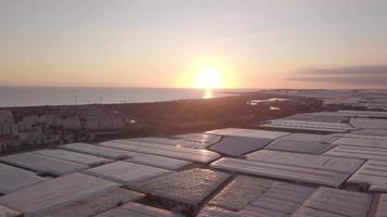 aerial view of a modern agricultural greenhouse video