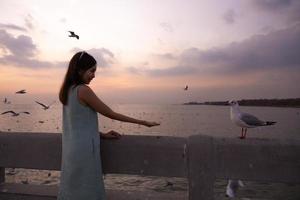 Beautiful Woman hand feeding seagull during the sunset. Seagull evacuate the cold from the northern hemisphere to bangpu, Samutprakarn, Thailand during winter on November to March. photo