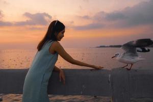 Beautiful Woman hand feeding seagull during the sunset. Seagull evacuate the cold from the northern hemisphere to bangpu, Samutprakarn, Thailand during winter on November to March. photo