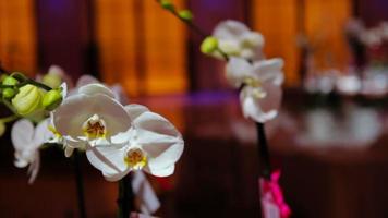 Tisch dekoriert mit weißer Orchideenblüte