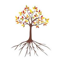 Tree has yellow leaves with dark brown roots vector illustration