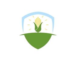 Abstract shield with shinning corn in the farm vector