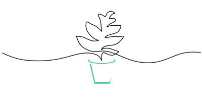 Continuous one single line of Selenicereus Chrysocardium in a pot vector