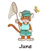 Tiger is symbol of the Chinese new year, with the inscription June. In cap and  summer suit, with flying butterflies. Perfect for creating a calendar. Vector cartoon style