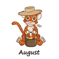 Tiger is symbol of the Chinese new year, with the inscription August. In  straw hat with a basket of fruits, apples, pears. Perfect for creating calendar. Vector illustration cartoon style