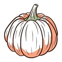 Ripe Gourd Image. Winter Squash Illustration. Hand drawn pumpkin sketch. Element for autumn decorative design, halloween invitation, harvest, sticker, print, logo, menu, recipe vector