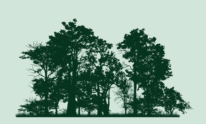 trees silhouettes vector