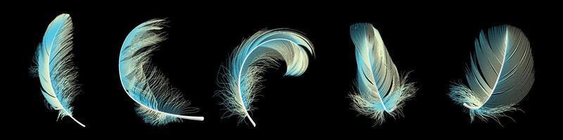 Vector feathers set