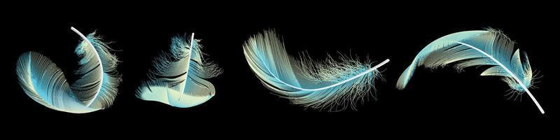 set of feathers vector