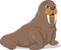 Cartoon funny walrus on white background vector