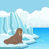 Cartoon walrus floating on ice vector