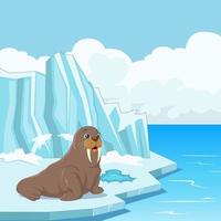 Cartoon walrus floating on ice vector