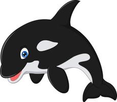 Cartoon killer whale on white background vector