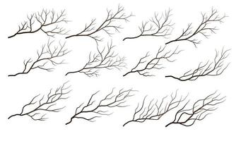 ramas de árboles secos vector