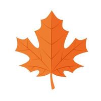 autumn maple leaf icon vector