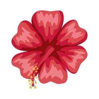 red hawaiian flower vector