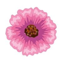 Isolated pink flower vector