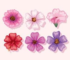conjunto de símbolos de flores vector