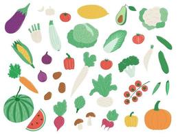 Collection of various organic vegetables vector