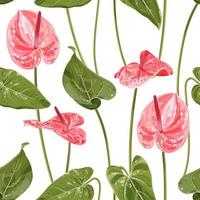 Anthurium. Seamless floral pattern with pink glossy flowers and anthurium leaves. Tropical pattern on a white background. Stock vector illustration.