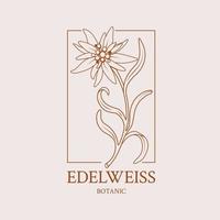 diseño floral del logotipo con una flor de edelweiss dibujada a mano vector