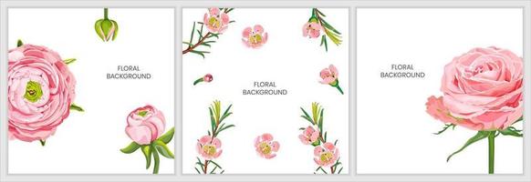 Floral background with pink rose, ranunculus flowers, chamelaucium isolated on a white background. Collection of botanical frames with place for text. Invitation, banner, post on a social network. vector