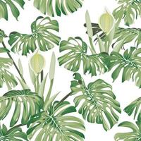 Monstera leaves and flowers. Seamless tropical pattern with exotic leaves and flowers. Bright and summer pattern with monstera on white background. Exotic botanical pattern. Stock vector illustration.