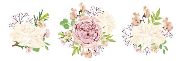 Set of vector floral bouquets. Peony rose, white carnation, chamelaucium, lathyrus, eucalyptus, and branch of pink berries. Wedding floristics. Spring bouquet. Stock Vector Illustration.