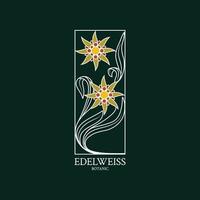 logotipo de edelweiss. diseño floral del logotipo con una flor de edelweiss dibujada a mano vector