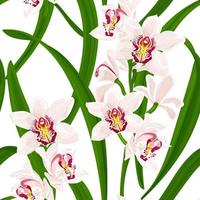 Cymbidium. Tropical summer seamless pattern with flowers and leaves of exotic orchid. Stock vector illustration on a white background.