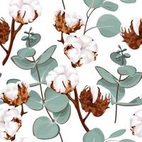 Seamless pattern with cotton flowers and eucalyptus branches. Botanical vector illustration on a white background.