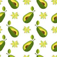 palta. patrón transparente sobre fondo blanco aislado. ilustración vectorial de stock. vector