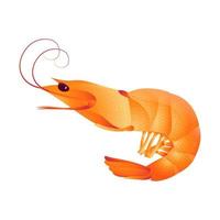 Shrimp on a white background. Seafood. Vector flat illustration.