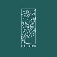 logotipo de edelweiss. diseño floral del logotipo con una flor de edelweiss dibujada a mano vector