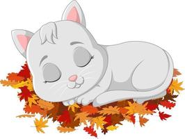 Cute cat sleeping on autumn leaves