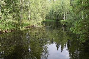 lake in the forest in the mountains photo