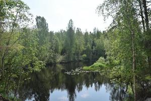 lake in the forest in the mountains photo