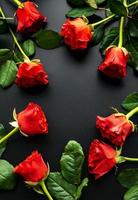 Valentine  red roses photo