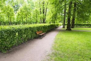 wooden bench in park near bushes and trees photo